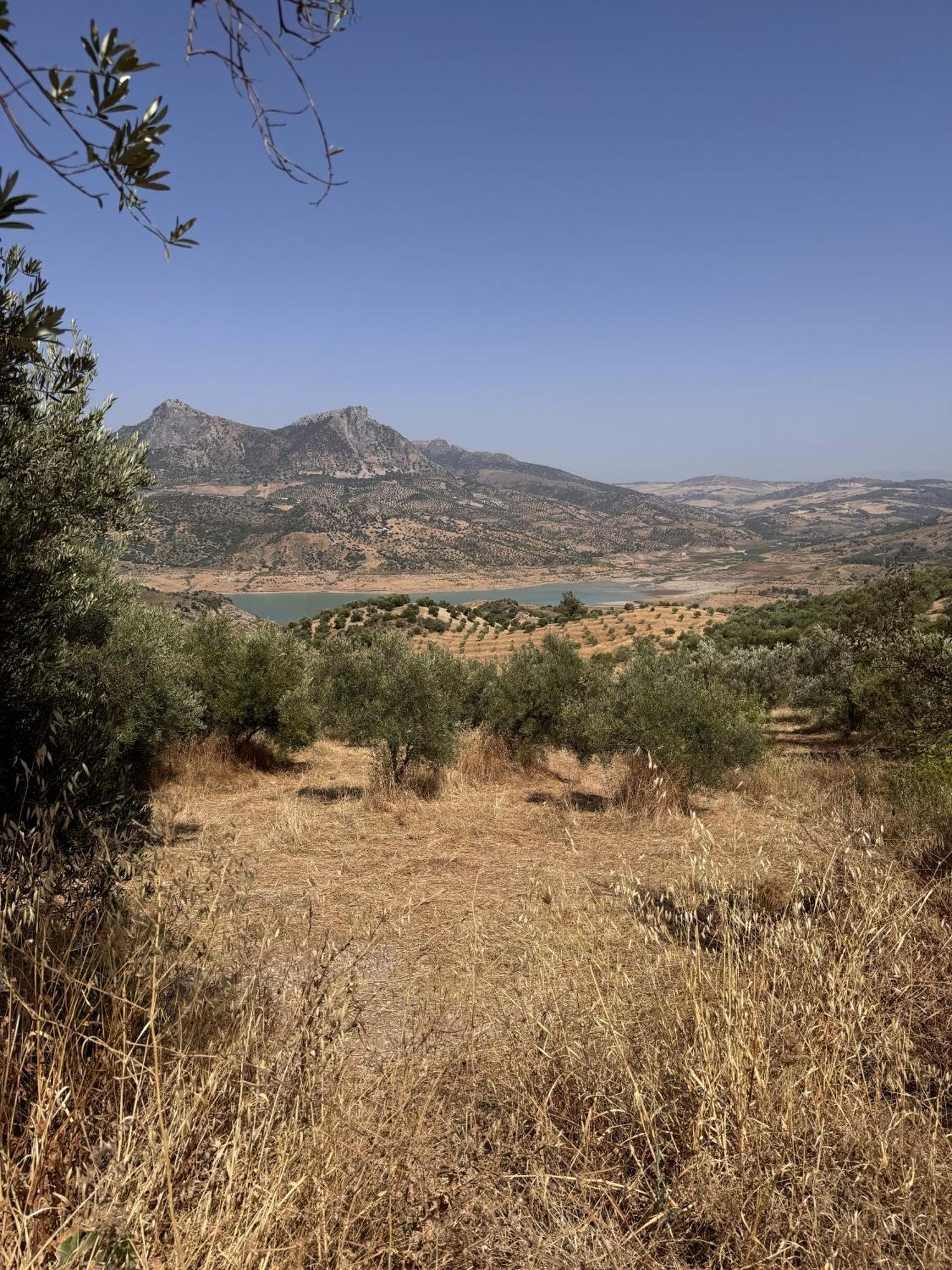 Finca Luca Oliva Zahara De La Sierra Exteriér fotografie