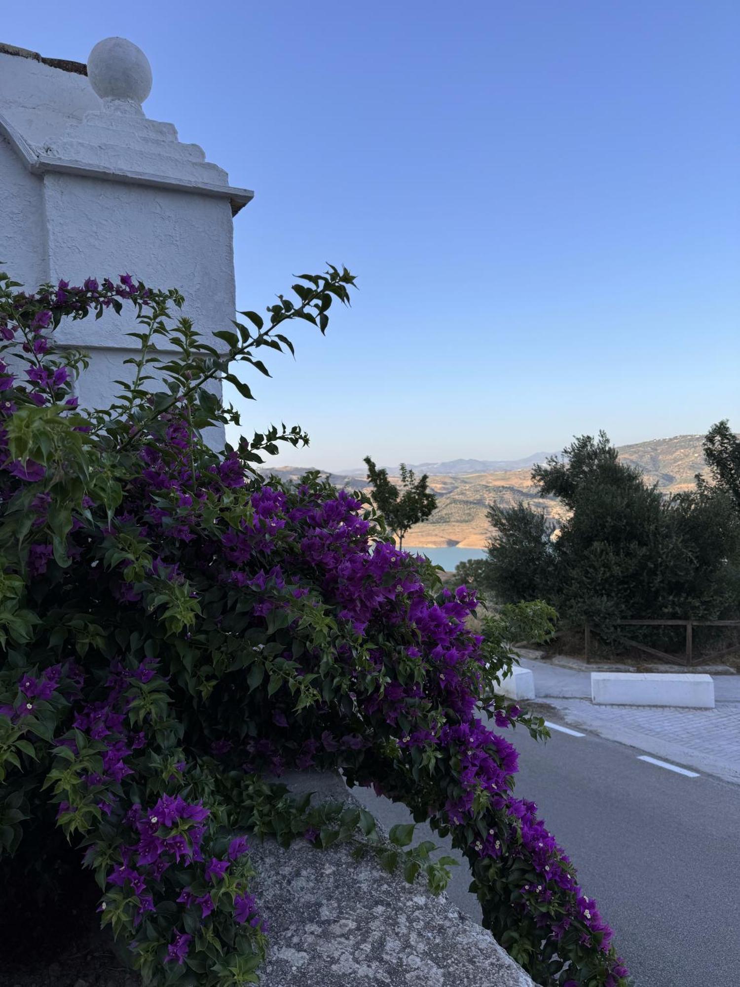 Finca Luca Oliva Zahara De La Sierra Exteriér fotografie