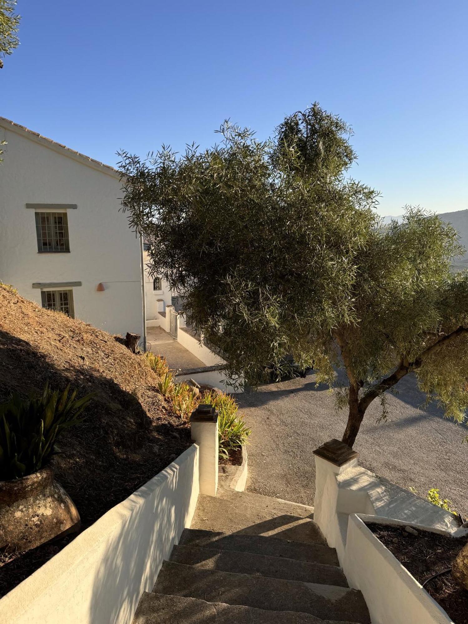 Finca Luca Oliva Zahara De La Sierra Exteriér fotografie